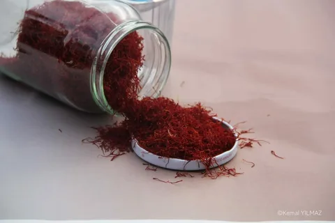 تصویر 4 از زعفران مرغوب سرگل با کیفیت مناسب و عطر مطبوع برای استفاده در آشپزی